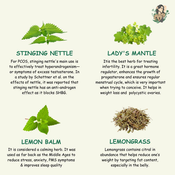 Herbal Fertility/PCOS Tea